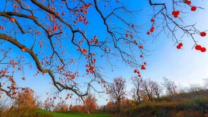 8683cb231322d42b68e29e42187d118b.jpg 8683cb231322d42b68e29e42187d118b.jpg